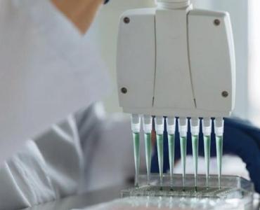 Kiedy warto zbadać białka w moczu? Elektroforeza, która wyjaśnia przyczynę białkomoczu